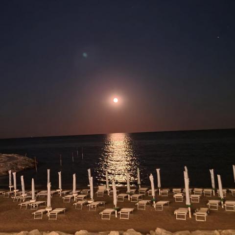 Der Mond scheint über dem Meer. Im Vordergrund am Strand Liegestühle. Kein Mensch ist zu sehen.