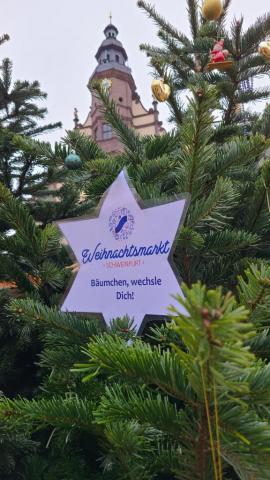 Ein kleiner Weihnachtsbaum auf dem Schweinfurter Weihnachtsmarkt mit Christbaumschmuck und einem großen Papierstern mit Aufschrift "Bäumchen wechsel dich". Im Hintergrund der Turm des Schweinfurter Rathauses.