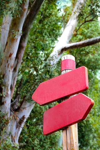 Vor einem Baum stehen zwei rot angemalte Wegweiser ohne Beschriftung, die in verschiedene Richtungen zeigen.