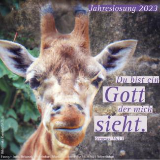 Bild einer Giraffe mit dem Text der Jahreslosung: "Du bist ein Gott, der mich sieht"