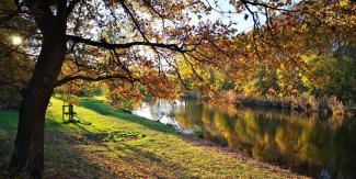 Aufnahme am Ufer der Werre. Im Vordergrund liegt herbstliches Laub am Boden, außerdem ein Baum - in den oberen Bildteilen ragen Äste mit herbstlichem Laub vor blauem Himmel ins Bild hinein. Auf der gegenüberliegenden Uferseite spiegeln sich Bäume im Wasser.