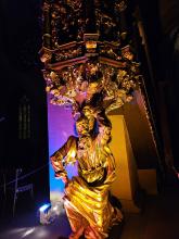 Mose unter der Kanzel (November 2024)